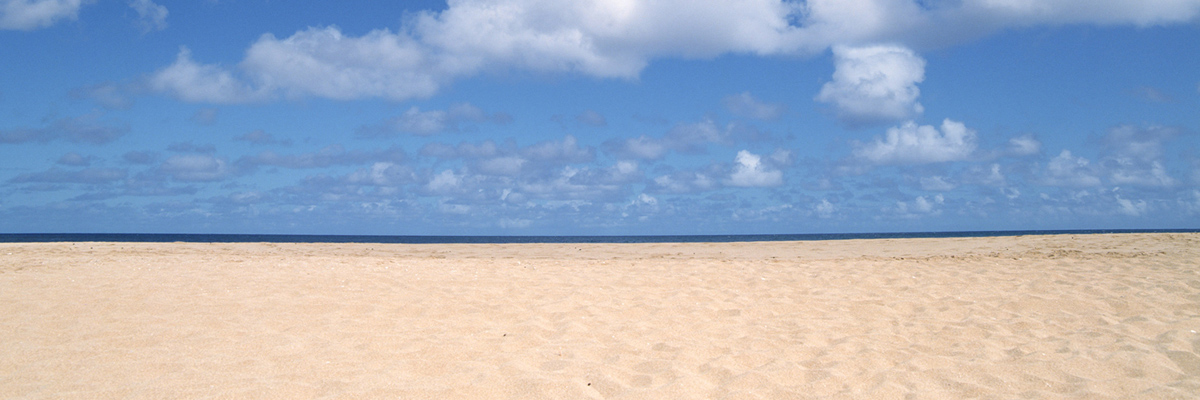 徳島県で後遺障害に強いおすすめ弁護士一覧