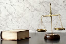 後遺障害等級認定を裁判所の判断に委ねる場合のポイント